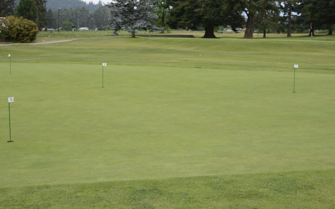 Golf tournament raises $20,000 for local hospitals